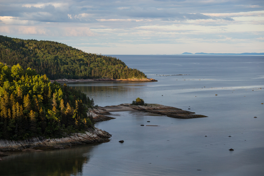 L'Estuaire et le Golfe du Saint-Laurent : Une Santé Fragile qui Alerte les Scientifiques