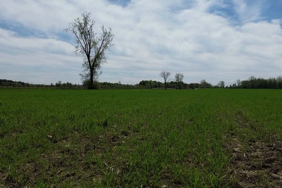 Bières Québécoises : Un Choix Écologique et Économique pour la Santé de l'Environnement
