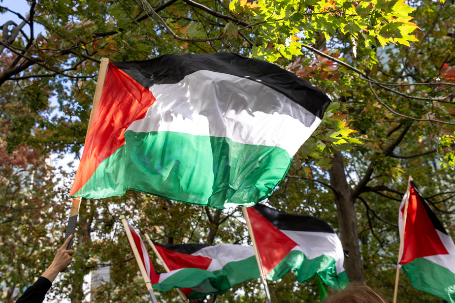 Crise Sanitaire à Gaza: Des Familles Privées de Soins, Québec Face à un Défi Humanitaire Urgente