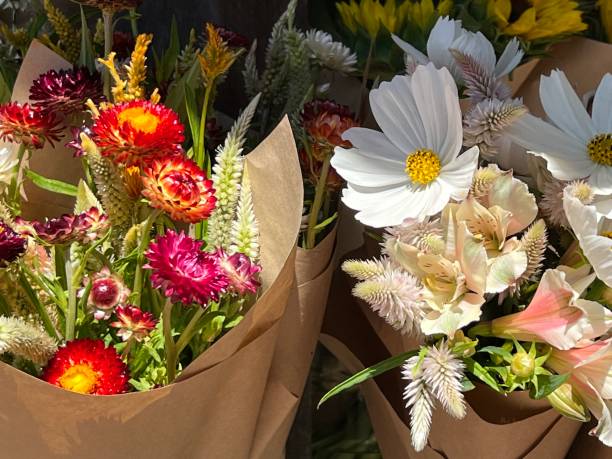 Blooming Expressions: The Language of Flowers in Kilmore