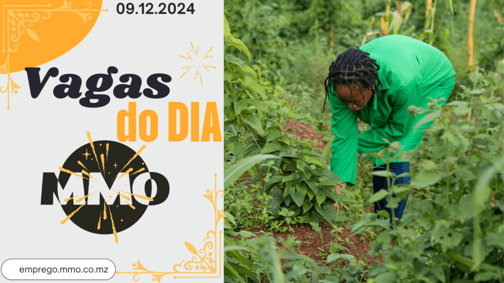 Oportunidades de Emprego em Moçambique - 09 de Dezembro de 2024