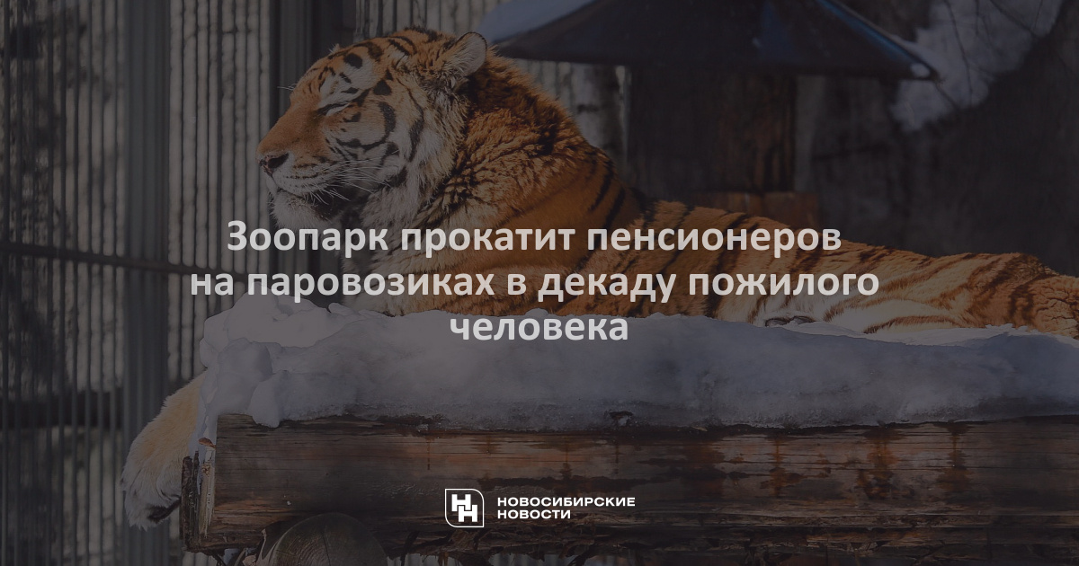 Декада пожилого человека в Новосибирском зоопарке: бесплатный вход и прогулки на паровозиках