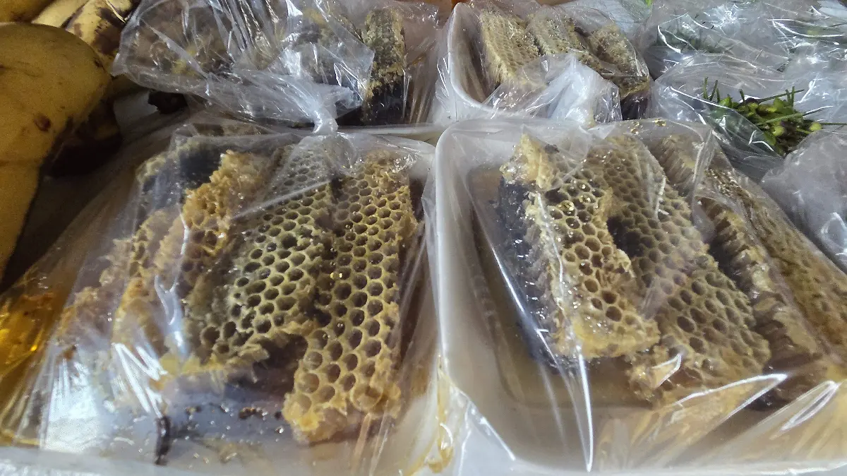 Pócima Dorada de la Colmena: Descubre los Beneficios de la Miel en Penca y Dónde Encontrar la Auténtica