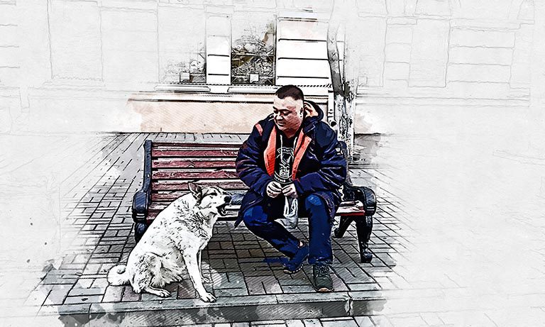 Судьба собаки-знаменитости с улицы Ленина в Орле: что известно на данный момент