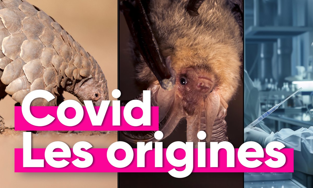 Covid-19 : 5 ans après, quelles sont les dernières révélations sur l'origine du virus ?