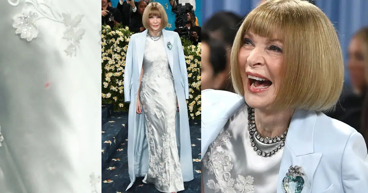 Anna Wintour e la macchia misteriosa: il dettaglio che ha fatto discutere al Met Gala 2025