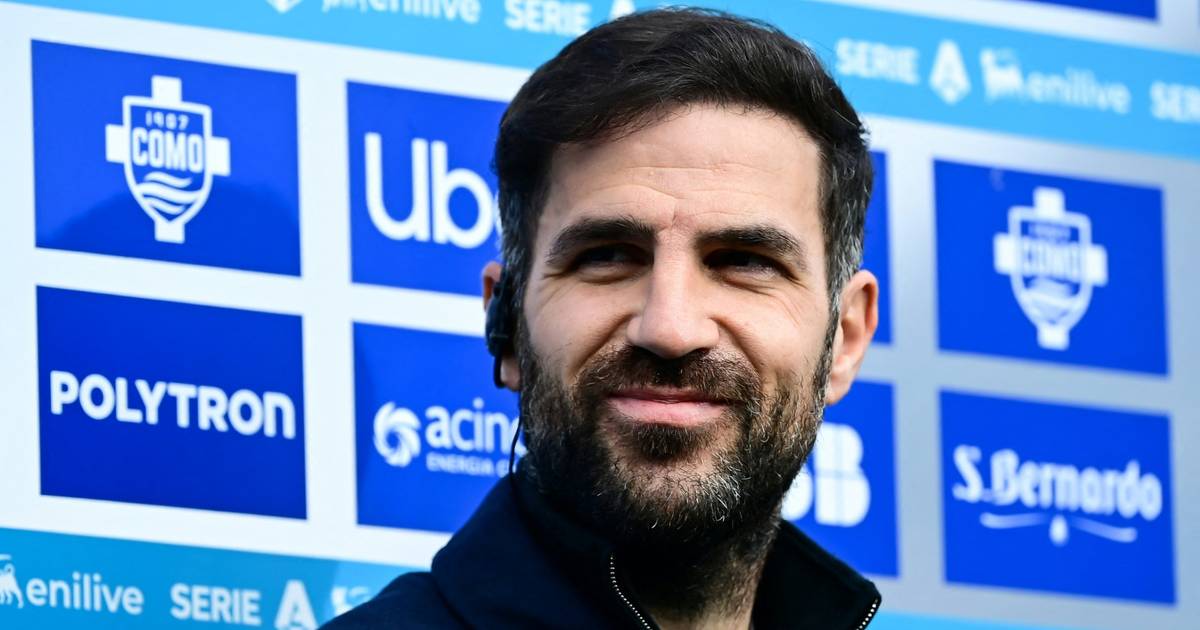 Bayer Leverkusen sondiert Fàbregas als Alonsos Nachfolger: Geheime Gespräche am Comer See?