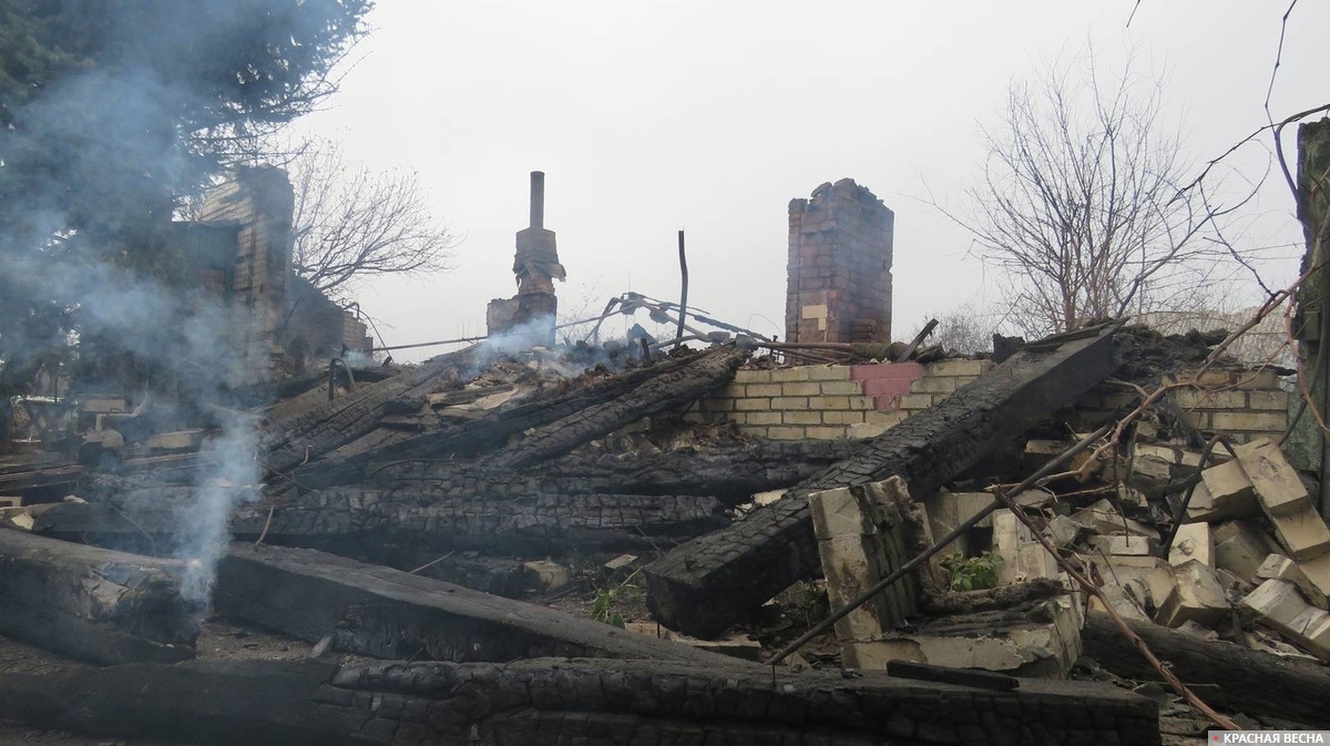 Пожар в Лос-Анджелесе: пламя добралось до домов Камалы Харрис и Арнольда Шварценеггера