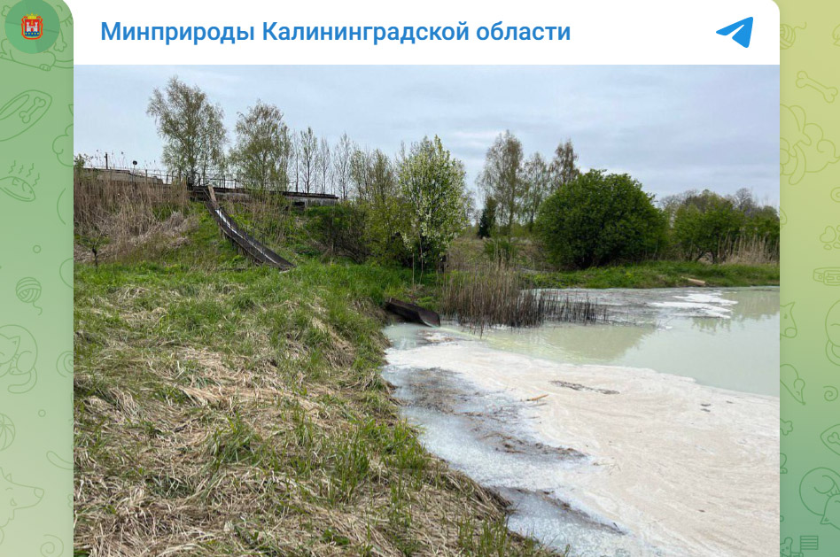 Революция в фотокатализе: ученые открыли способ увеличения активности с помощью электрического поля
