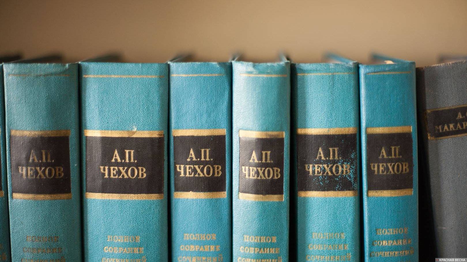 Большинство россиян читают книги для саморазвития: результаты опроса ВЦИОМ