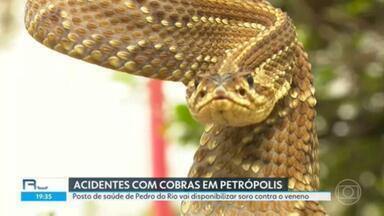 Posto de Saúde de Pedro do Rio Oferece Soro Contra Picadas de Cobra