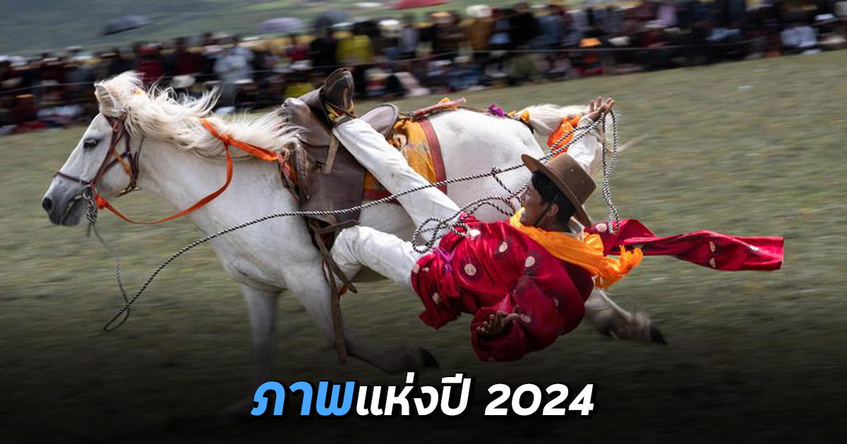 เหตุการณ์แห่งปี 2024 ที่ทำให้จีนต้องตกใจ!