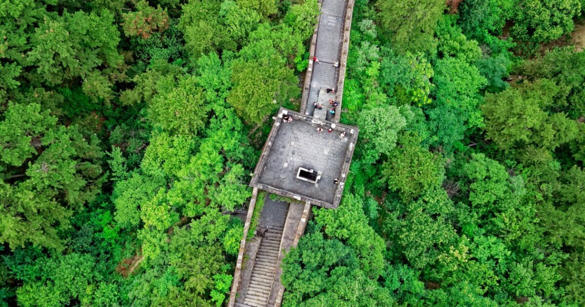 La Cina si pone alla guida anche della finanza verde. L'Europa che fa? Due possibili scenari