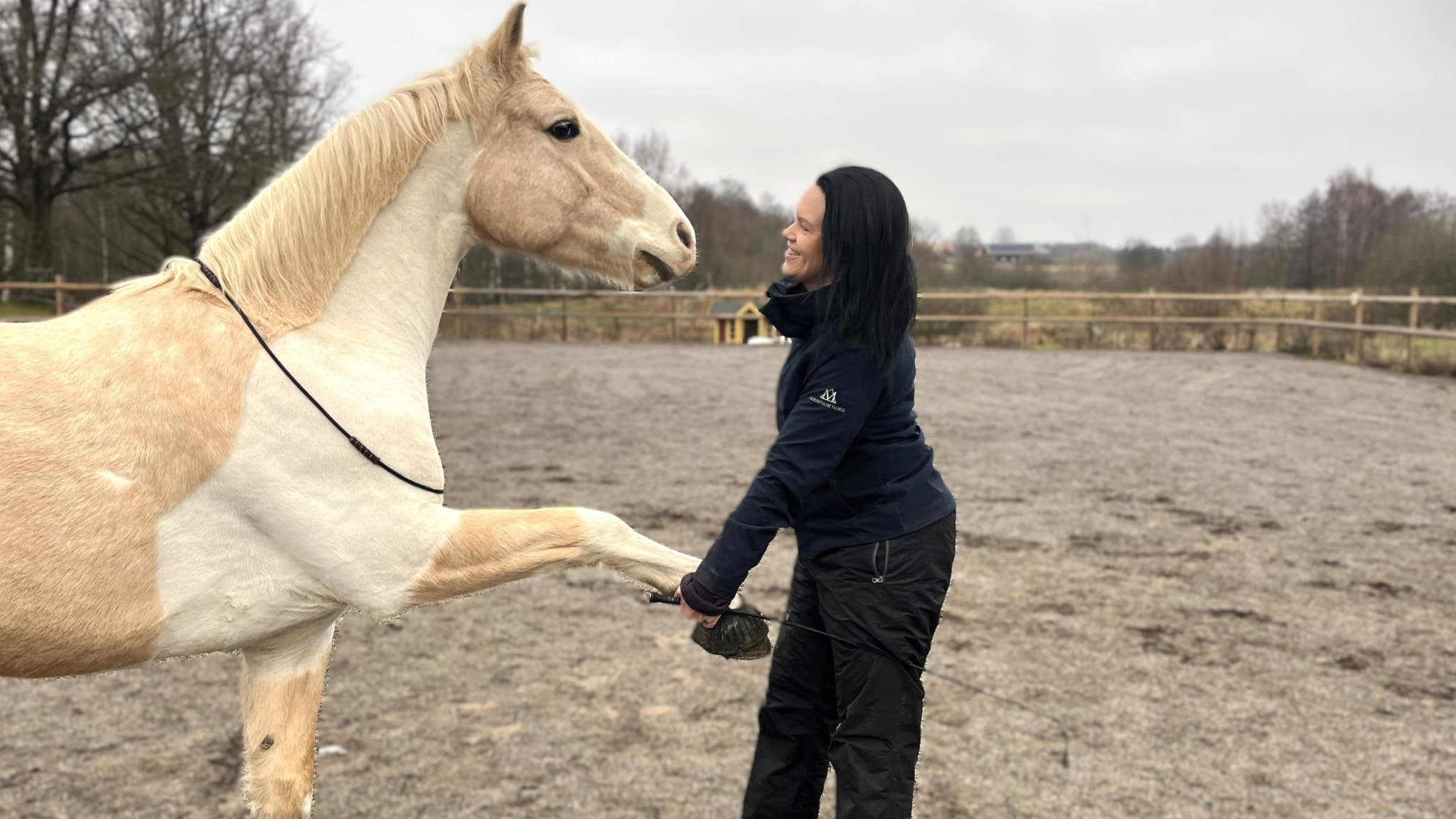 Hästen Rascal gjorde Marlene frisk från utmattning