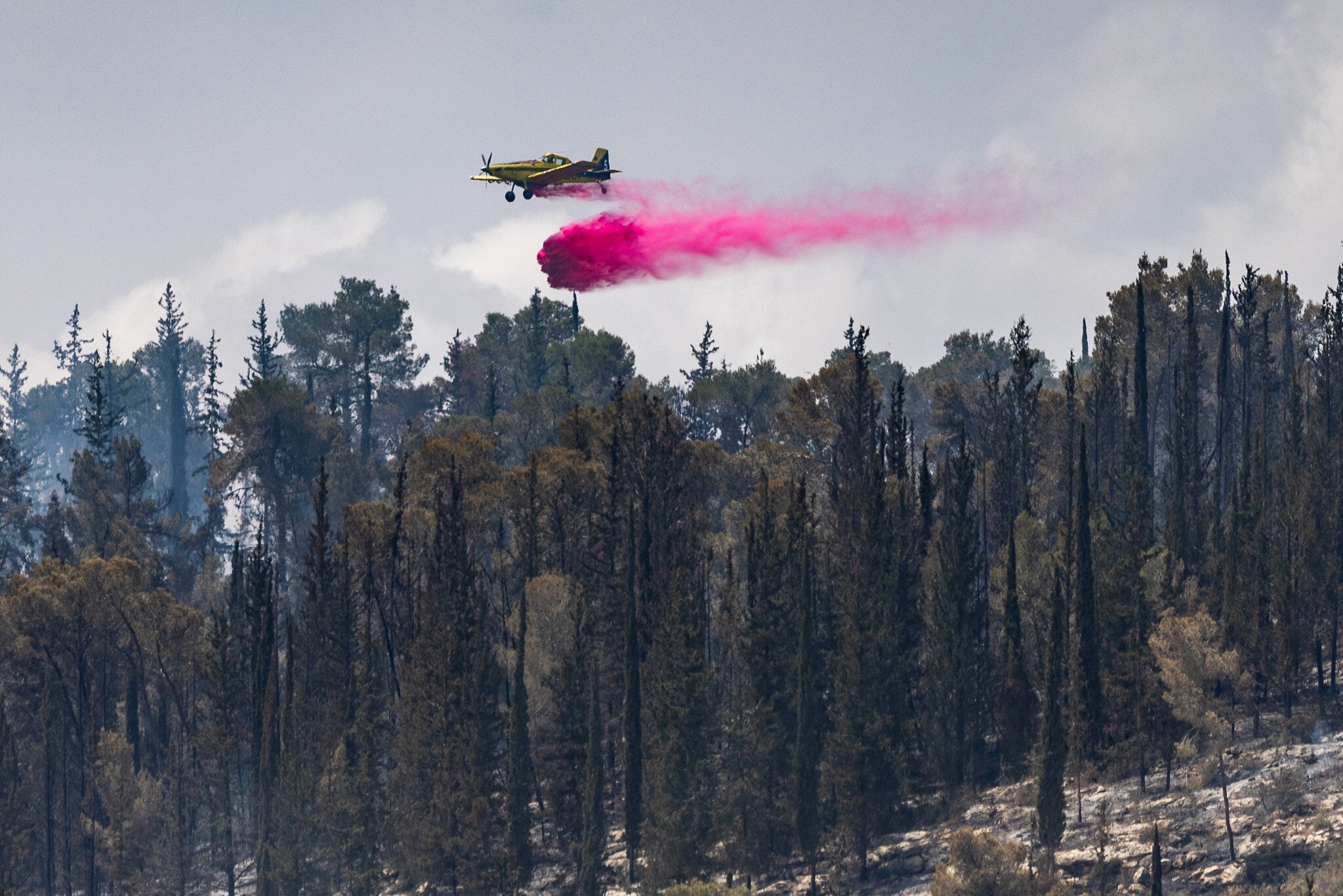 Jerusalem Hills Wildfire Contained: Investigation Underway After 24-Hour Blaze