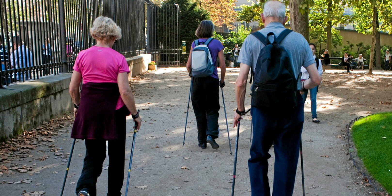 Calculons vos années de vie en bonne santé : Discovery avec l'étude du ministère de la Santé