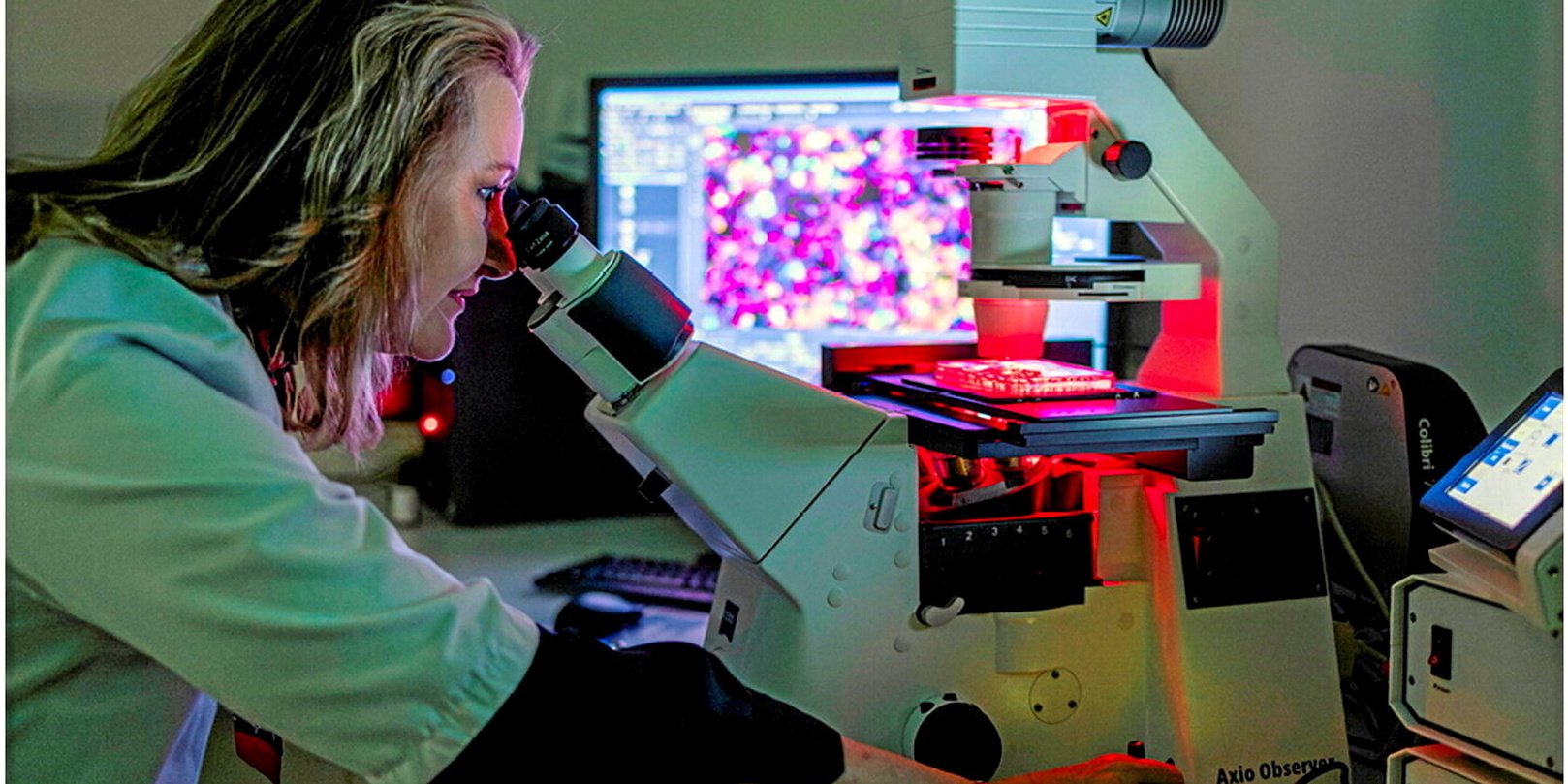 À Montpellier, des innovations qui vont tout changer pour notre santé