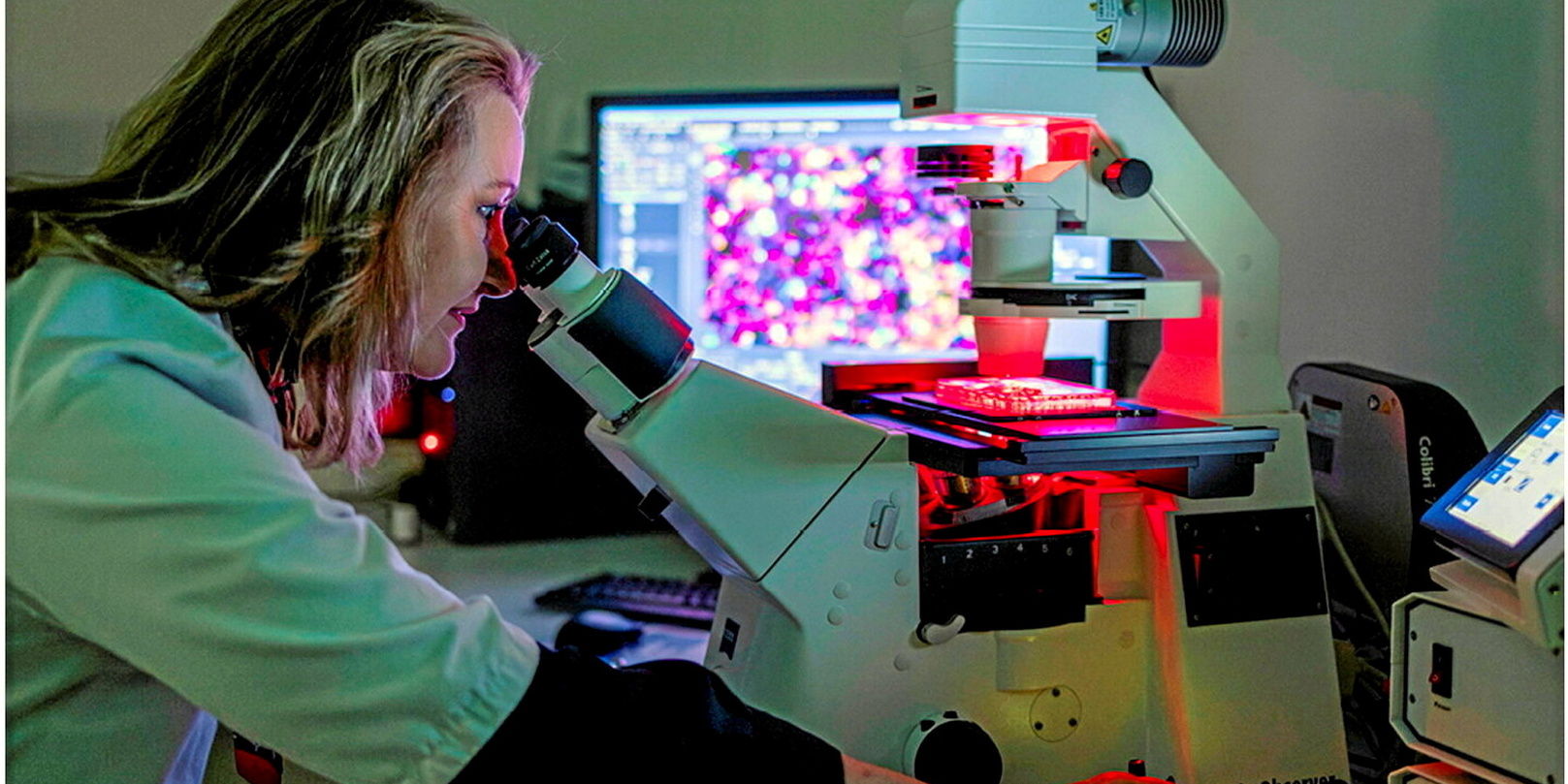 Lutte contre la désinformation médicale : un portail d'information santé fiable et accessible pour tous !
