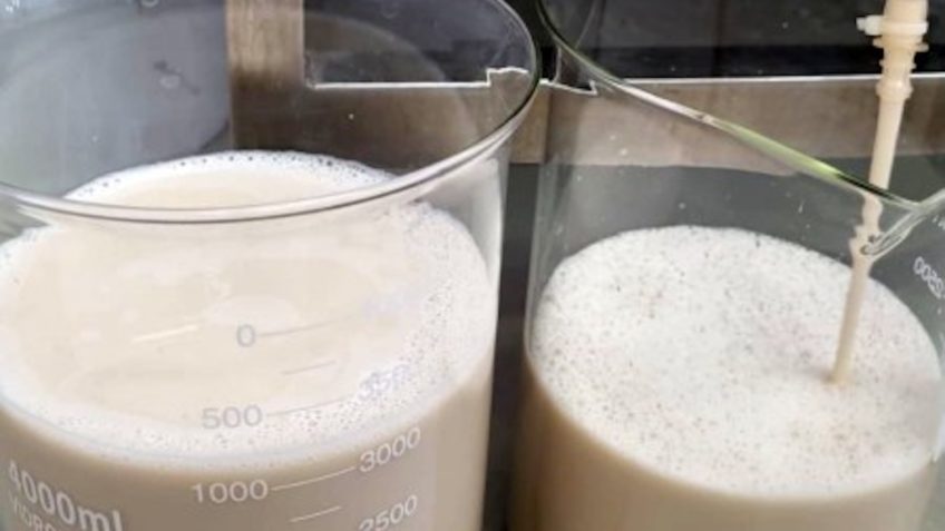 Revolução Láctea: Empresa Brasileira Produz Proteínas do Leite Sem Vacas, Prometendo Sustentabilidade e Inovação