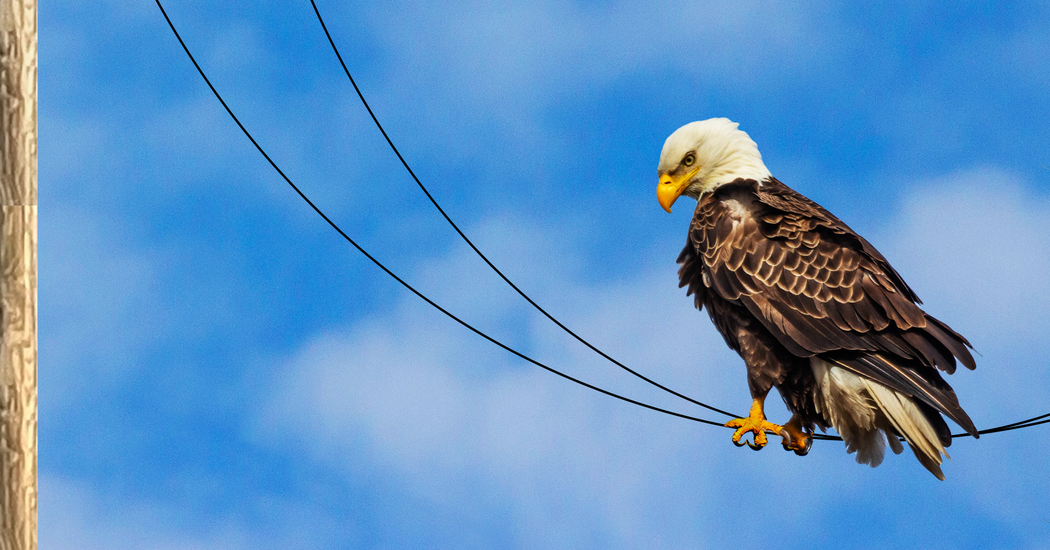 How 19th-Century Infrastructure Hinders America's AI Ambitions