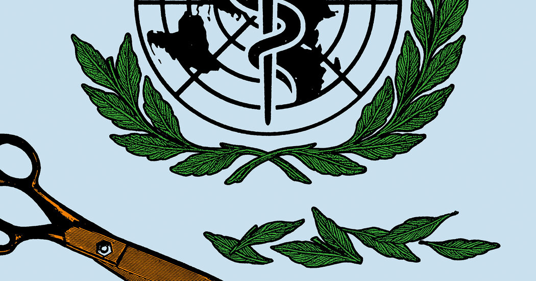 How to Fill the America-Shaped Hole in Global Health
