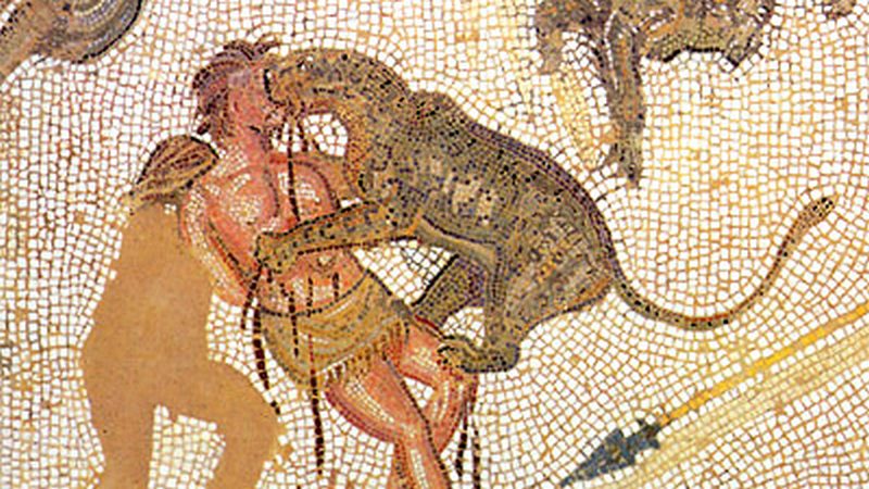 Scoperta sensazionale: le ossa di un gladiatore sbranato da un leone ritrovate a York, in Inghilterra