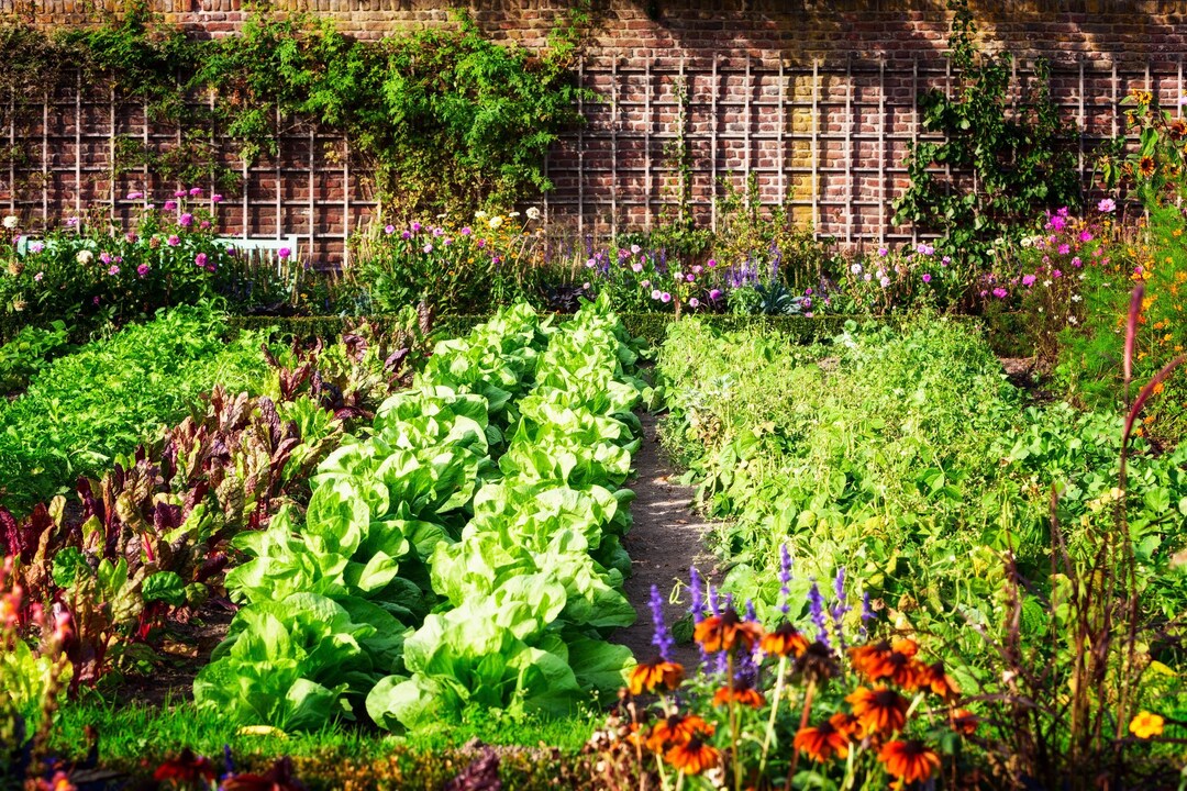 Calendario Lunare Gennaio 2025: Guida al Giardinaggio e Semina