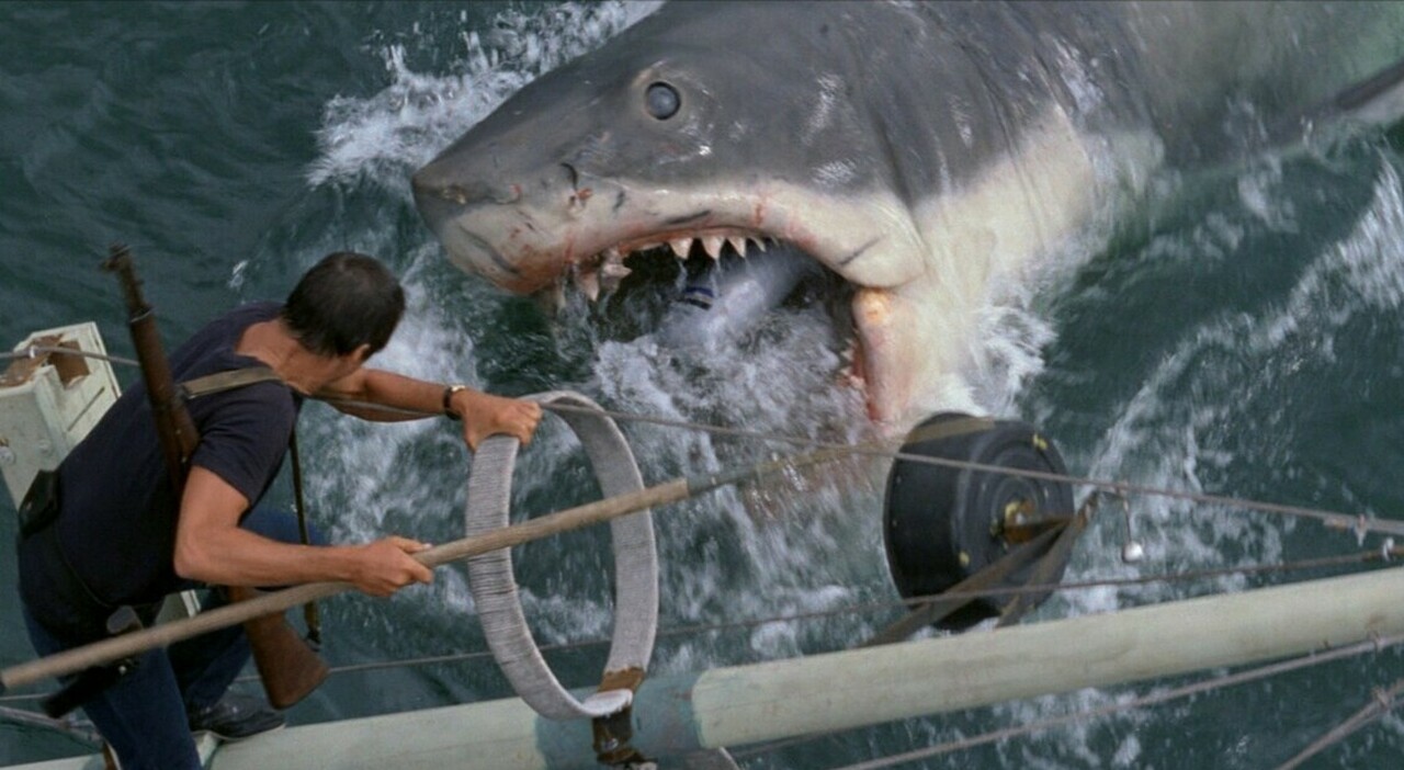 Lo Squalo, i 50 anni del film di Steven Spielberg: 5 cose da sapere sul capolavoro "maledetto"