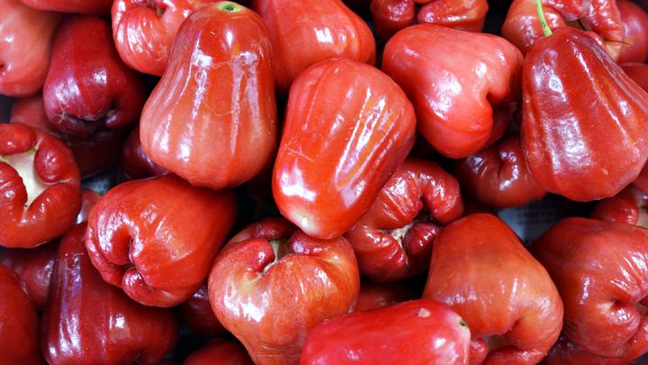 Jambu Madu Merah: Manfaat dan Cara Menanamnya untuk Kesehatan dan Kecantikan