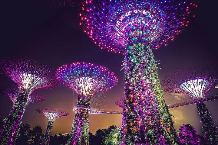 10 Destinasi Wisata Malam Singapura yang Wajib Dikunjungi, Dari Pertunjukan Cahaya hingga Night Safari