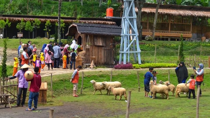 Agrowisata: Mengenal Konsep, Cakupan, dan Manfaatnya dalam Pariwisata Pertanian
