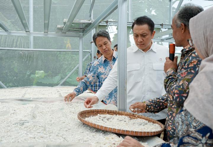 Inovasi Singkong: Desa Cikarawang Produksi Bioplastik Ramah Lingkungan untuk Pasar Jepang
