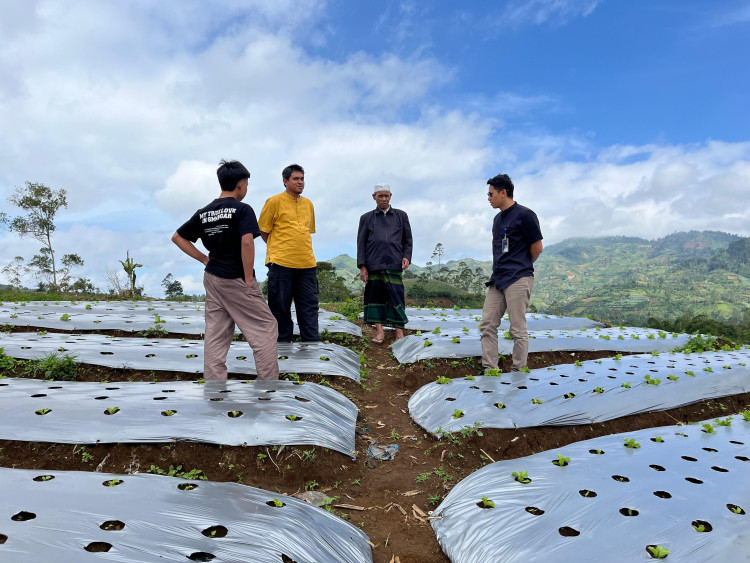 Dongkrak Produktivas Petani di Garut, PERURI Terapkan Teknologi Smart Farming