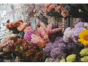 【神戸・HDC神戸】植物好き必見！天下一植物界 第5回が今年も開催！珍しい植物に出会える4日間