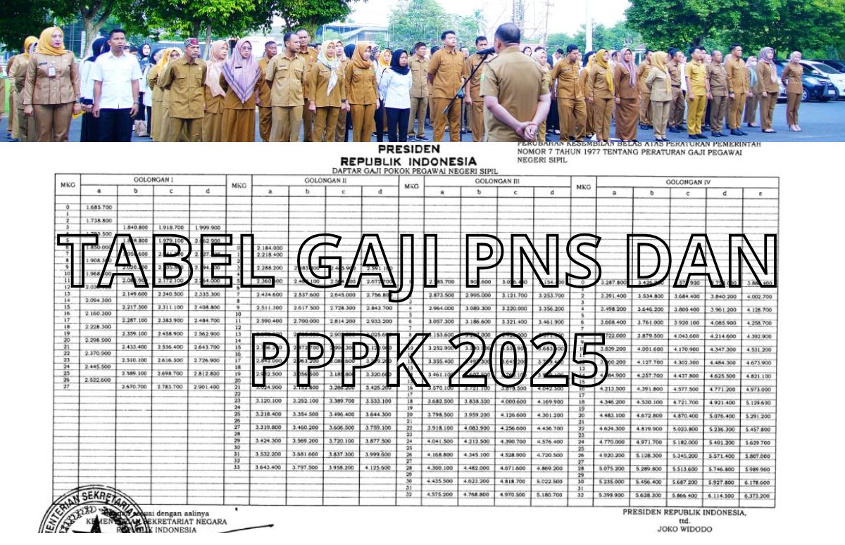Gaji PNS dan PPPK 2025 Resmi Ditetapkan, Berapa Besarannya?