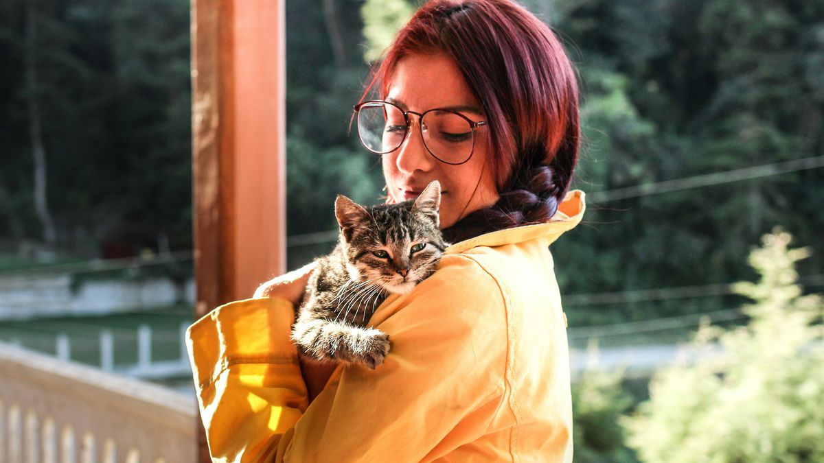 Como os Gatos Podem Melhorar Sua Saúde Mental e Física