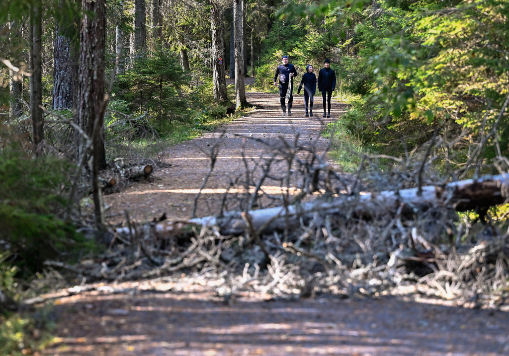 Varning för Sveriges Naturreservat: Förfall Hotar Våra Unika Landskap!