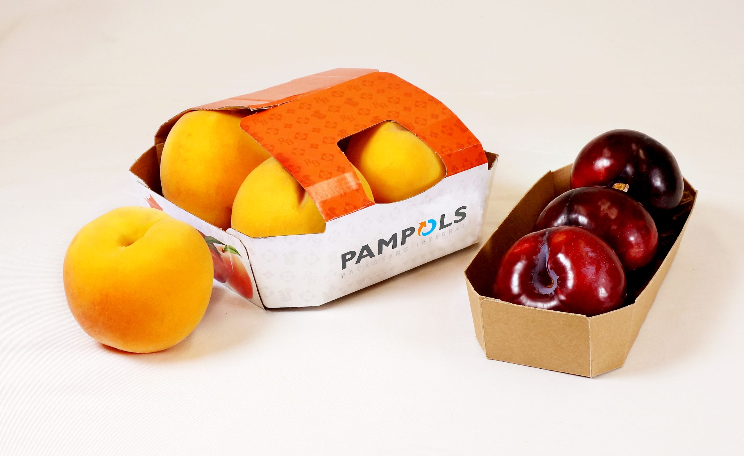 Pampols Packaging Invierte en Innovación: Nueva Planta en Valencia y Tecnología de Vanguardia para el Envasado