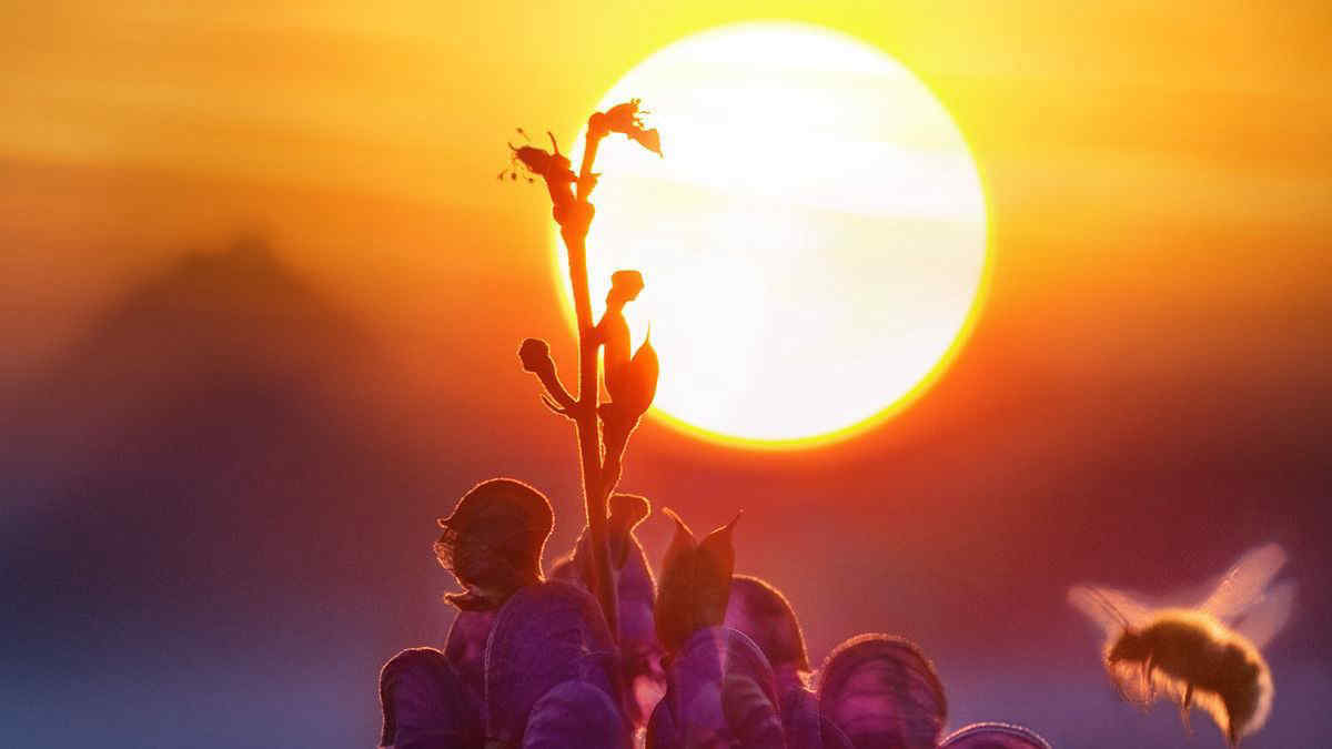 Ondata di Calore Africano: Allarme Salute! Consigli e Precauzioni per Proteggersi