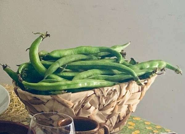 Festa del Primo Maggio: Fave e Pecorino, il Duo Perfetto per un Picnic Salutare e Gustoso!