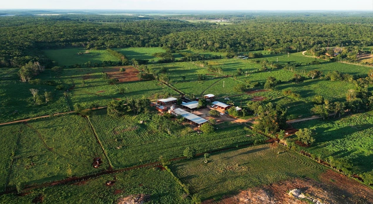 ¡Oportunidad Única! Venta de Exclusiva Operación Lechera Tropical en la Península de Yucatán, México