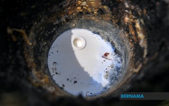 Harga Karet Fluktuatif, Dipengaruhi oleh Kenaikan dan Penurunan Harga Minyak Mentah