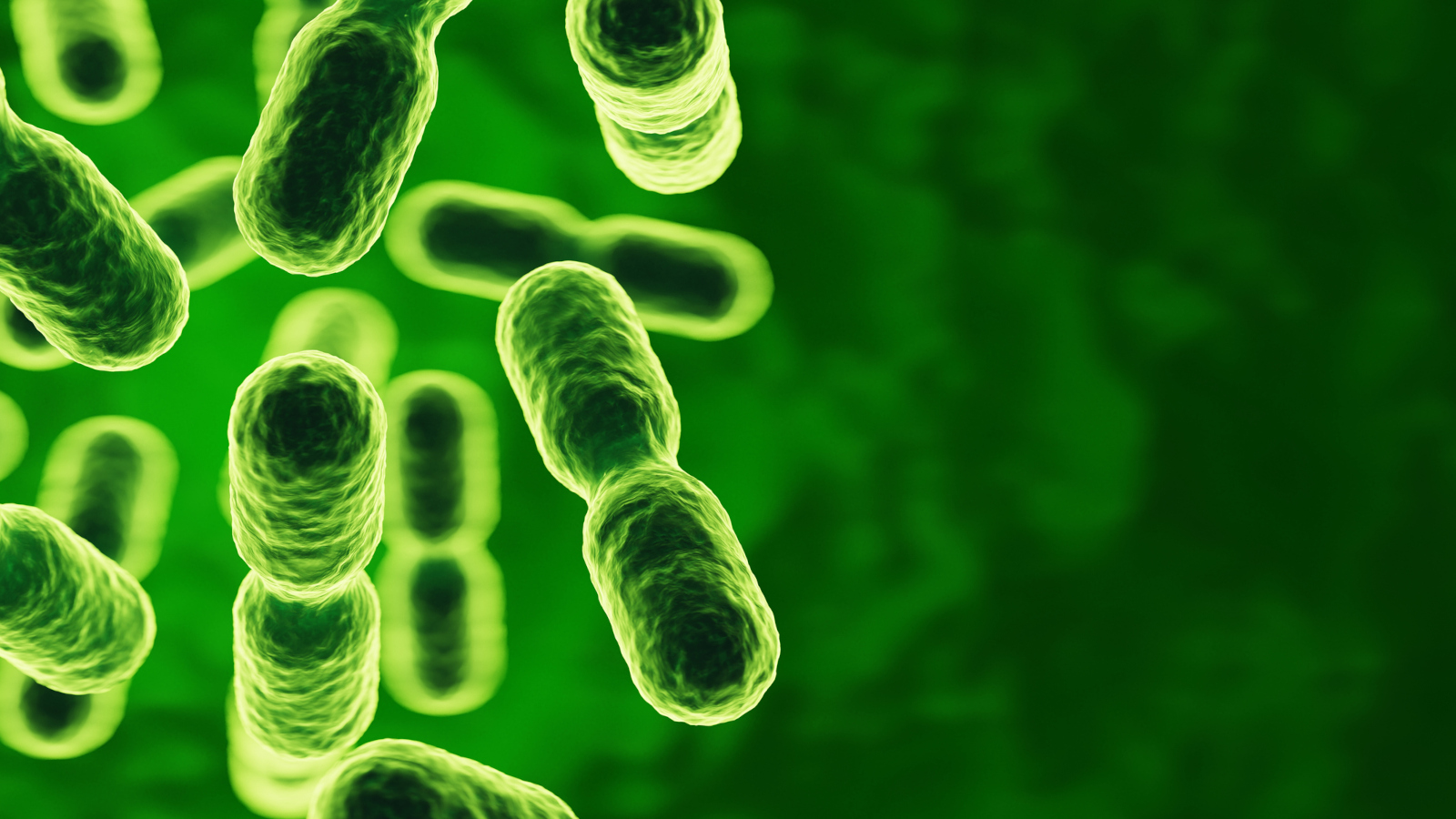Mikrobiom und psychische Gesundheit: Der unsichtbare Einfluss auf unser Wohlbefinden