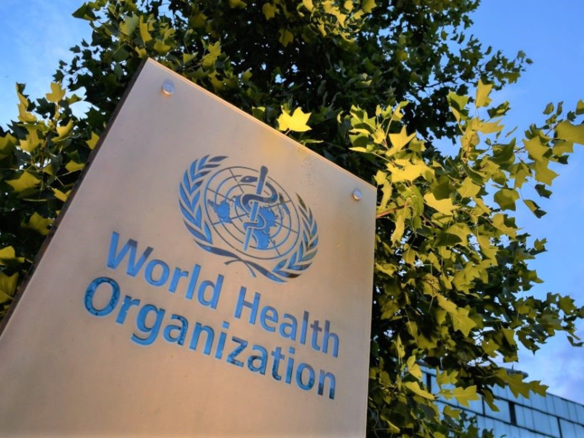 ¿Qué significará la salida de Argentina de la OMS para la salud pública y el costo de las vacunas?