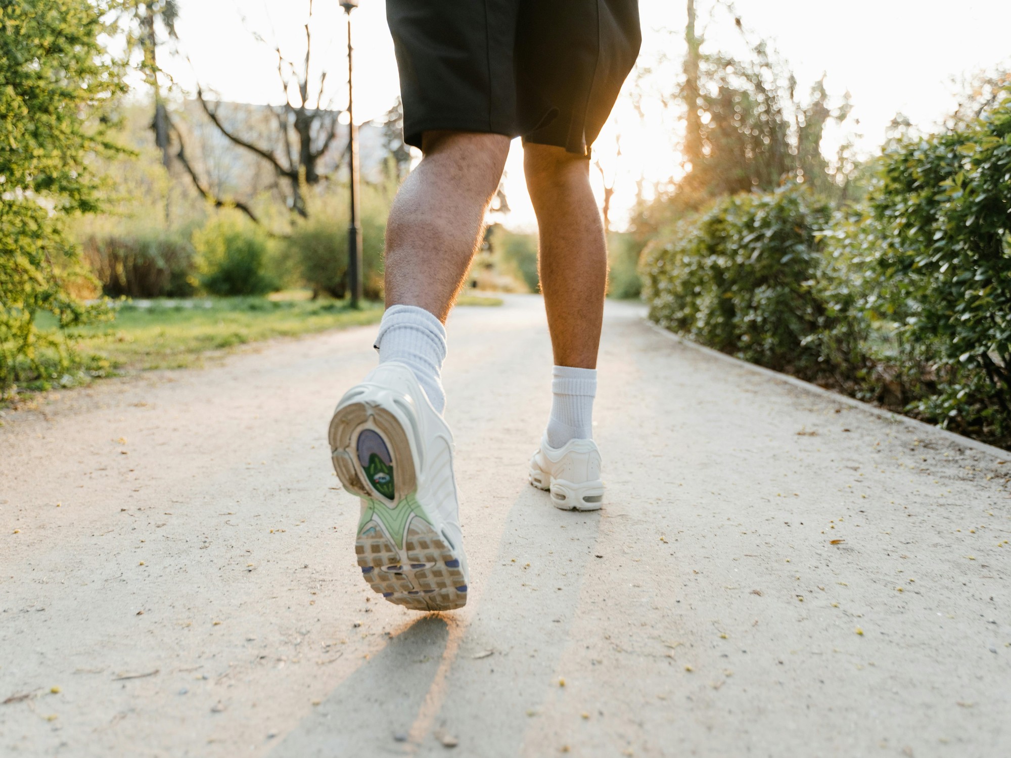 ¿Cuántos kilómetros son 10.000 pasos al día? Beneficios para la salud cardiovascular