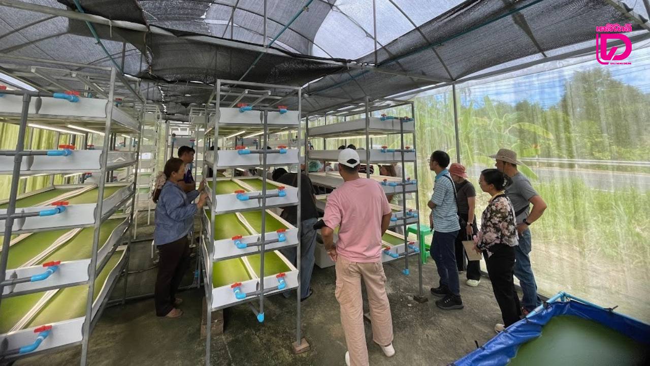  นวัตกรรมเพาะเลี้ยงไข่ผำสู่อนาคต Agricultural Technology