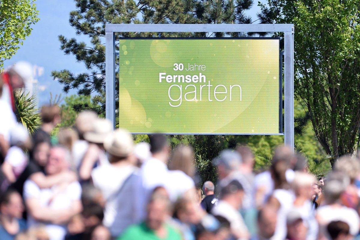 ZDF-Fernsehgarten 2025: Alles, was Sie über Deutschlands beliebteste Sommer-Show wissen müssen!