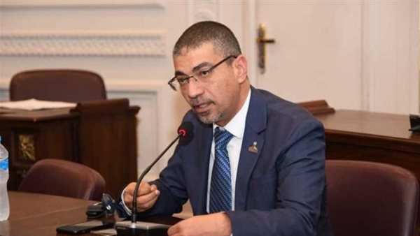 مصر تقود السلام في المنطقة: صحة الشيوخ تثمن وقف إطلاق النار في غزة