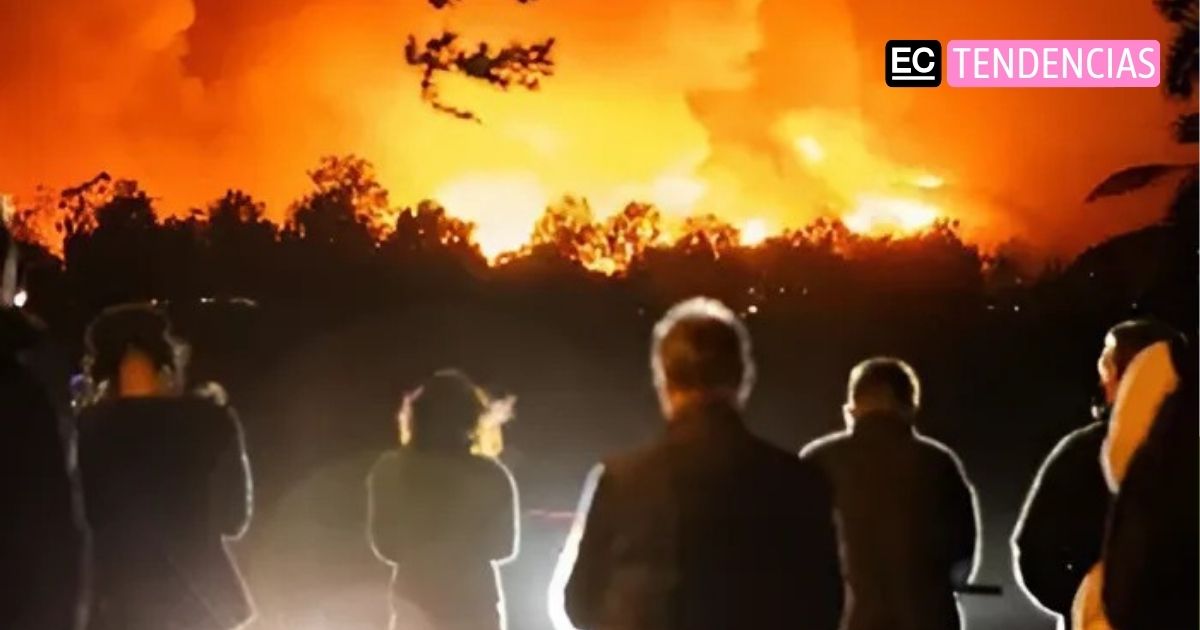 Incendios en Los Ángeles: El impacto en celebridades y la reacción en las redes sociales