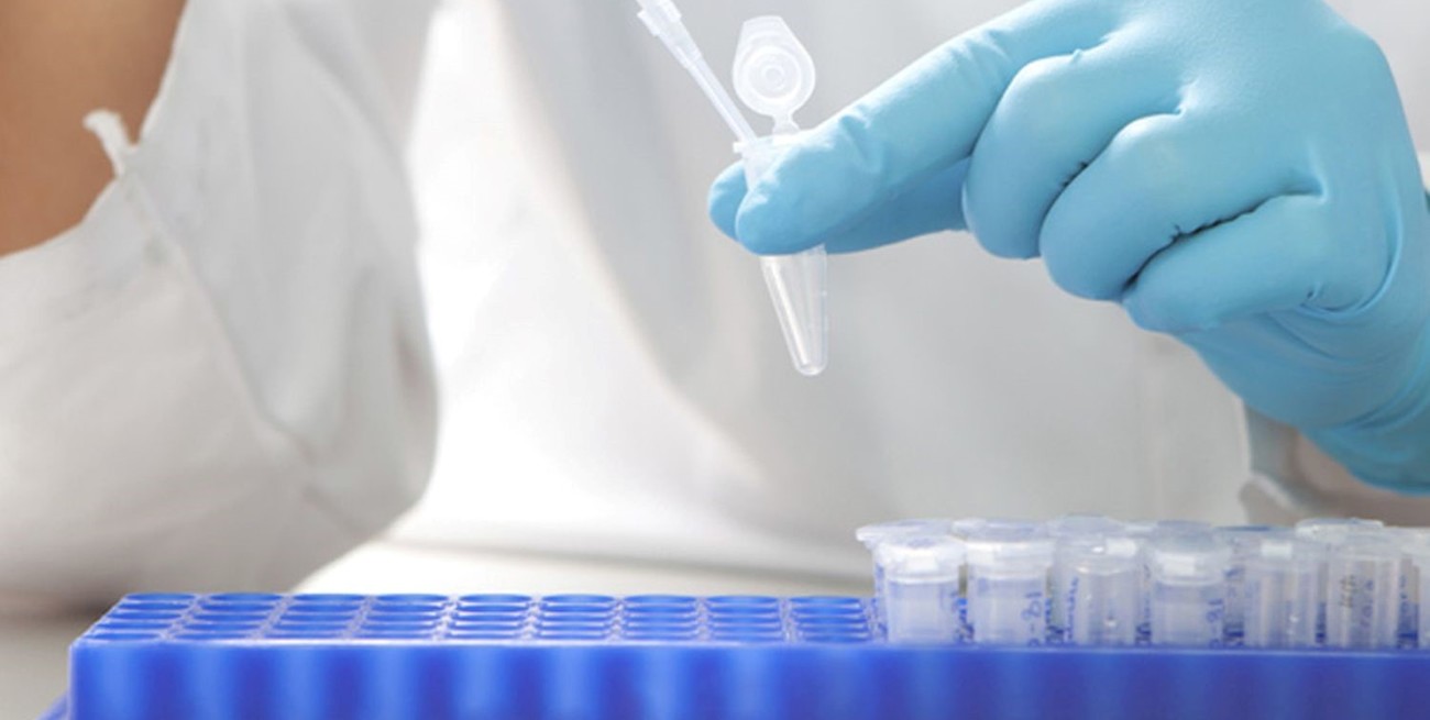 ¡Alarma en la Ciencia Argentina! Conicet Exige Cumplimiento Urgente del Financiamiento para la Investigación